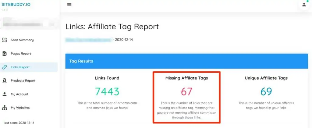 missing amazon affiliate tags via Sitebuddy