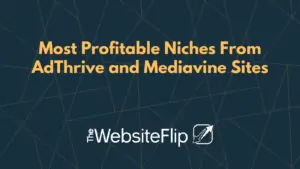 Most Profitable Niches From AdThrive and Mediavine Sites