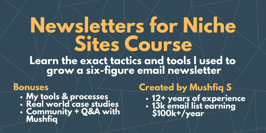 Newsletters for Niche Sites Cover